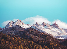 悟空体育登录-狼队士气高涨，将应战濒临降级的狼队，狼队qg