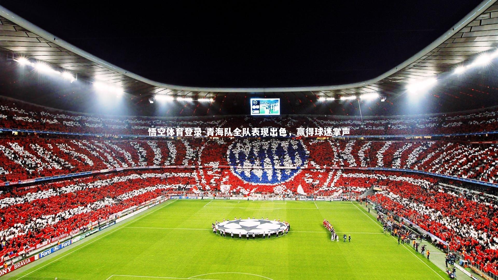青海队全队表现出色，赢得球迷掌声