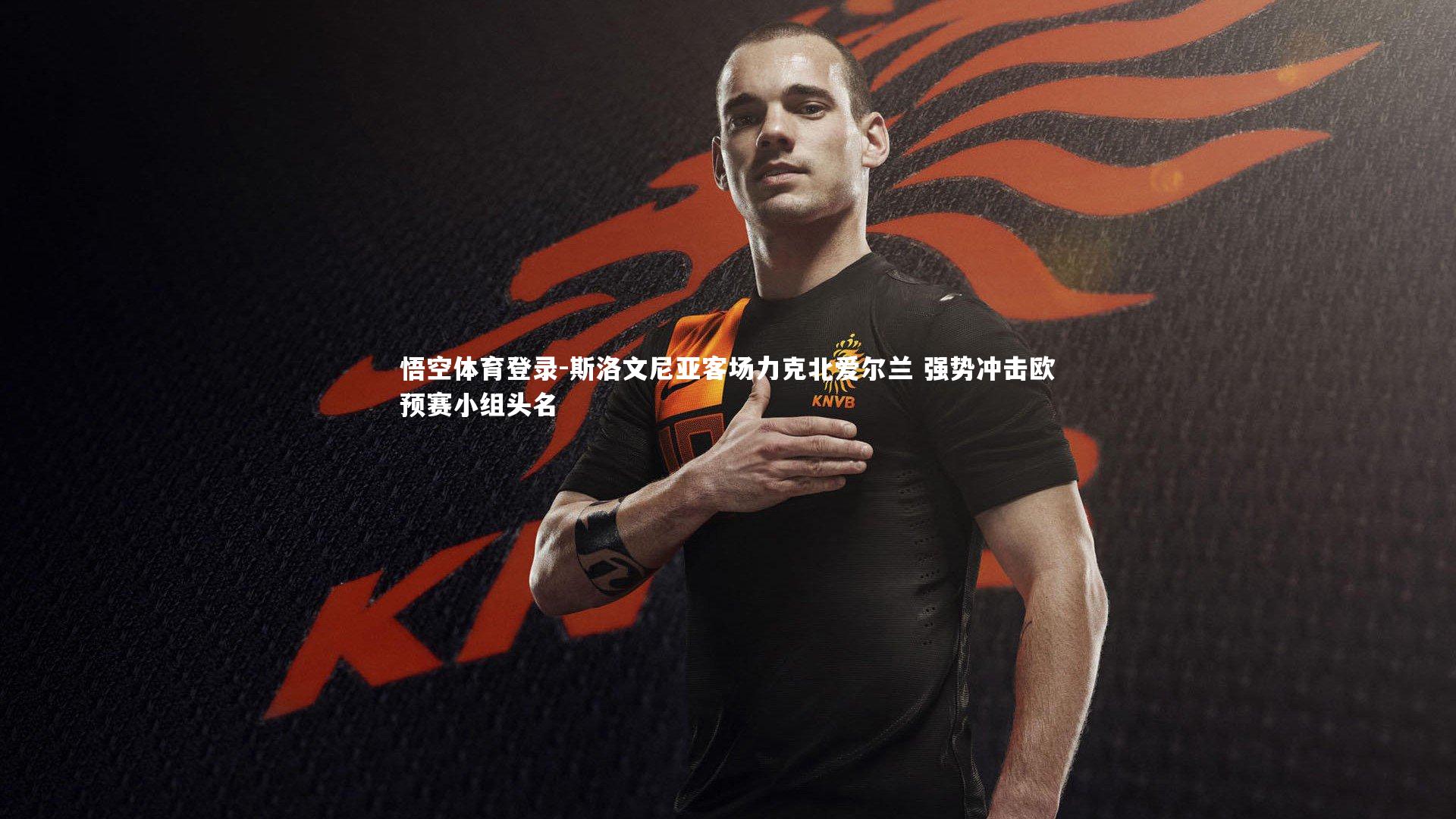 斯洛文尼亚客场力克北爱尔兰 强势冲击欧预赛小组头名