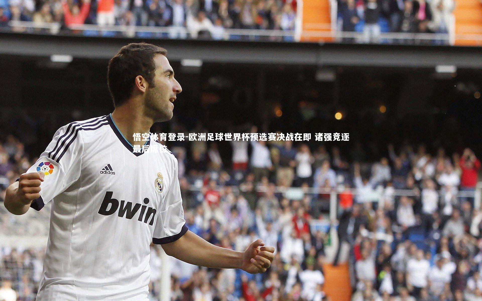 欧洲足球世界杯预选赛决战在即 诸强竞逐最后席位